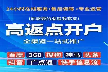 SEM推广竞价策略案例分析